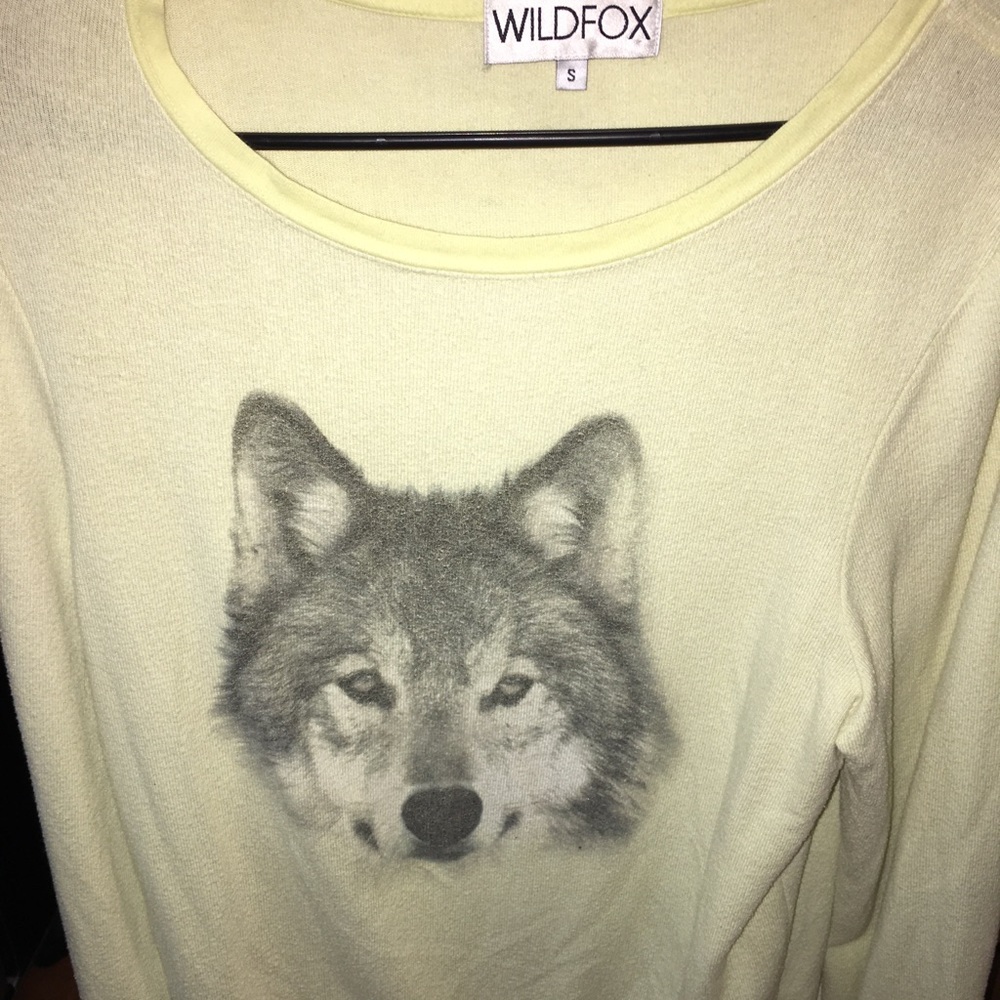 Wildfox sweaters